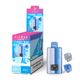 ELFBAR DUAL10K Refillable Pod Kit for wholesale