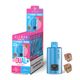 ELFBAR DUAL10K Refillable Pod Kit wholesale price